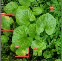 Wasabi Farming Management App (Bachelor Thesis) screenshot 4